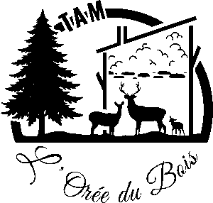 logo-noir