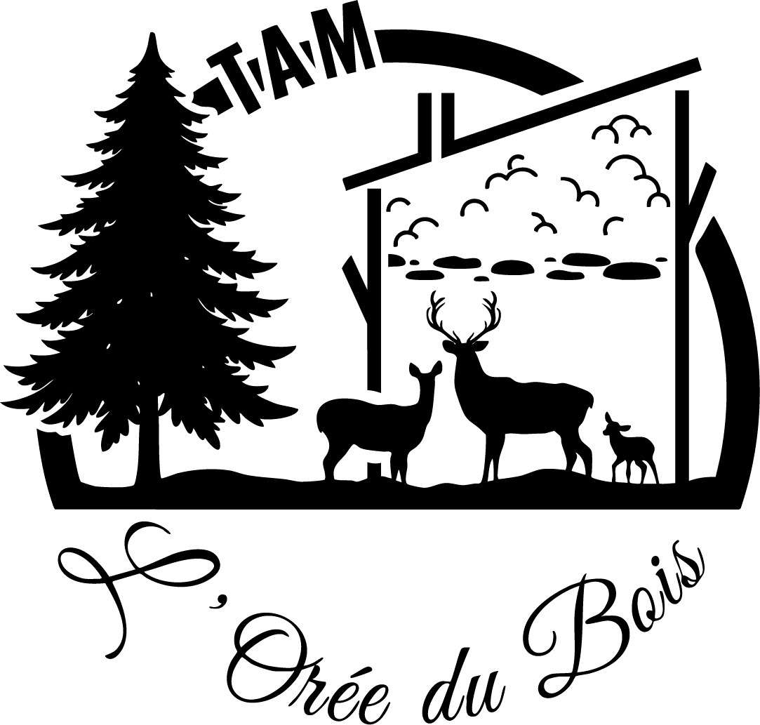 logo-noir